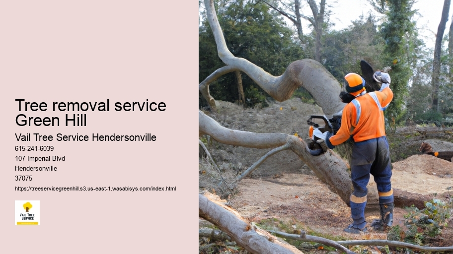 tree removal service Green Hill